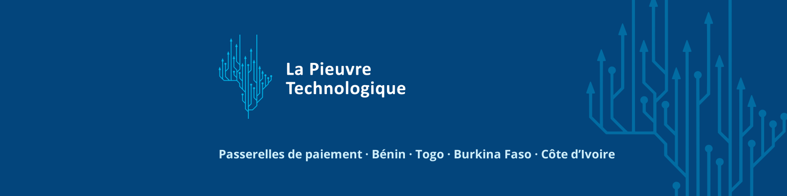 Bannière LinkedIn